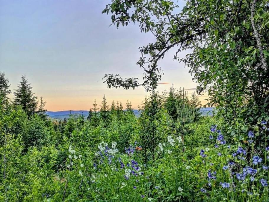 Forest Cabin With Stunning Mountain View & Sauna Турсбю Экстерьер фото